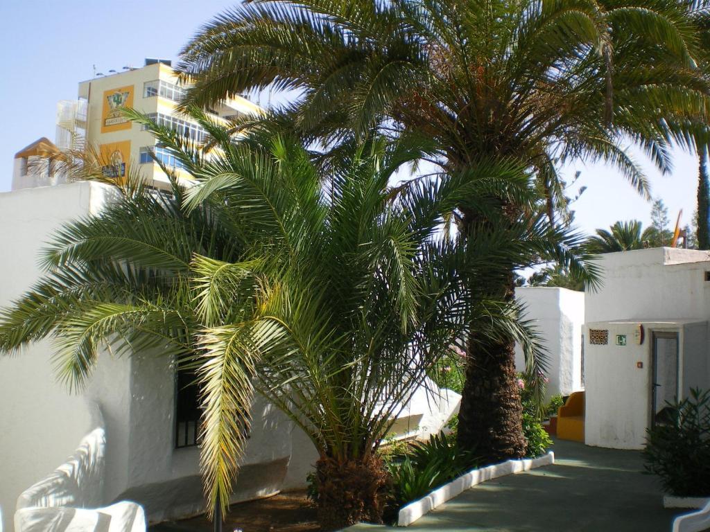 Bungalows Tenesoya Gay Men Only Playa del Inglés Esterno foto